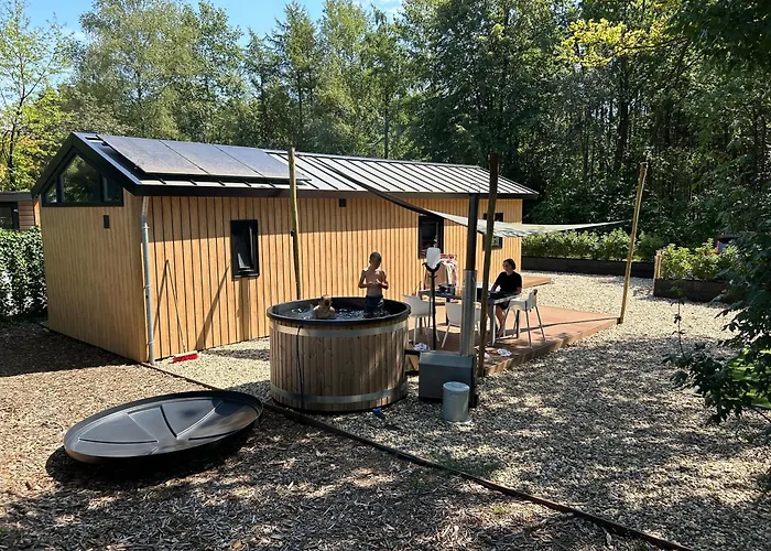 Schitterend 4 Persoons Tinyhouse Met Hottub Aan De Bossen In Putten 4-16